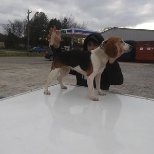 Meet your Posher, Joshua